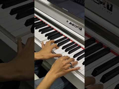 (Gen3) Sudoku Seidai gen3 Exam/Master Grade piano 88keys Hammer Action Fully Weighted Upright with flip cover design