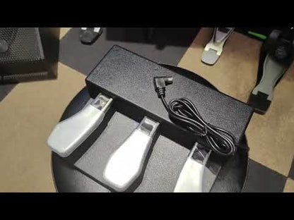 Sudoku Piano 3 foot pedals 3 Triple Foot (sustain pedal/damper pedal, sostenuto pedal, soft pedal)