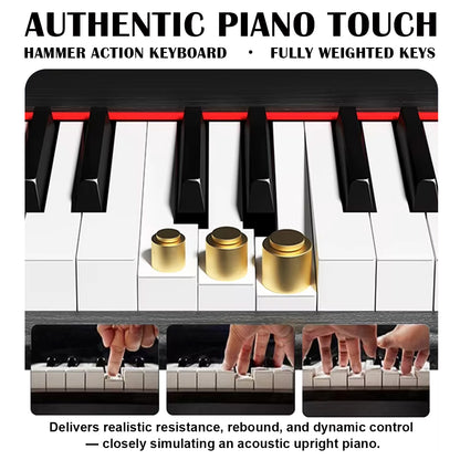 Sudoku Seiken Upright Piano Digital piano Exam Grade / Master Grade Hammer Action Fully Weighted Digital Piano 88 Keys
