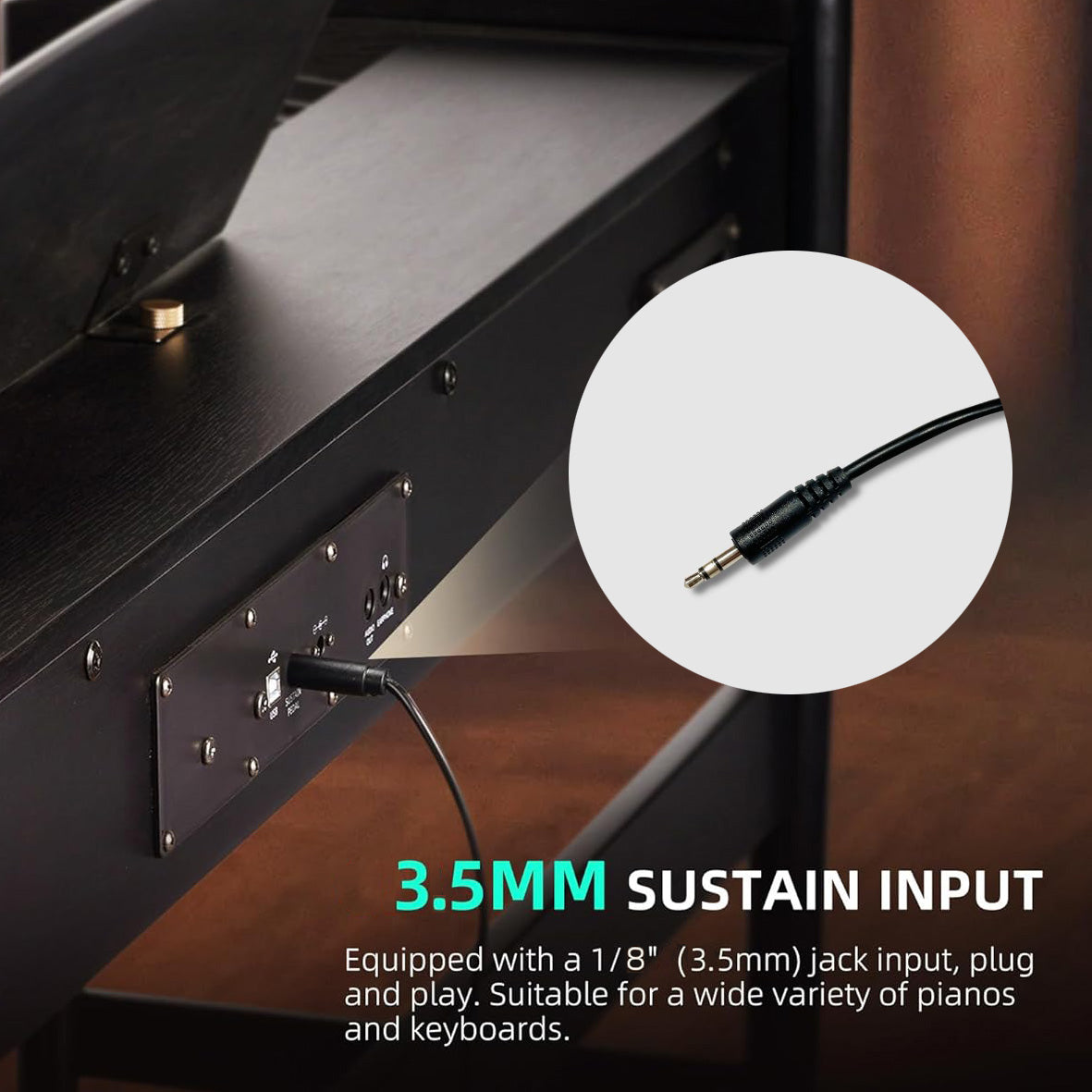 Universal Sustain Pedal for Digital Piano Electronic Keyboard midi keyboards Sustain Foot Pedal with Polarity Switch & stereo jack