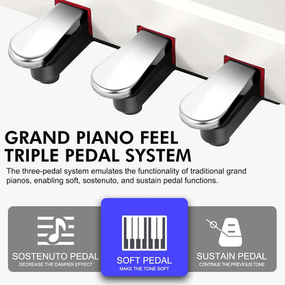 Sudoku Seigo fully weighted hammer action digital piano with flip cover design (88keys 88key exam/master grade practice)